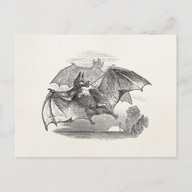 Vintage Vampire Bats Personalized Retro Bats Postcard (Front)