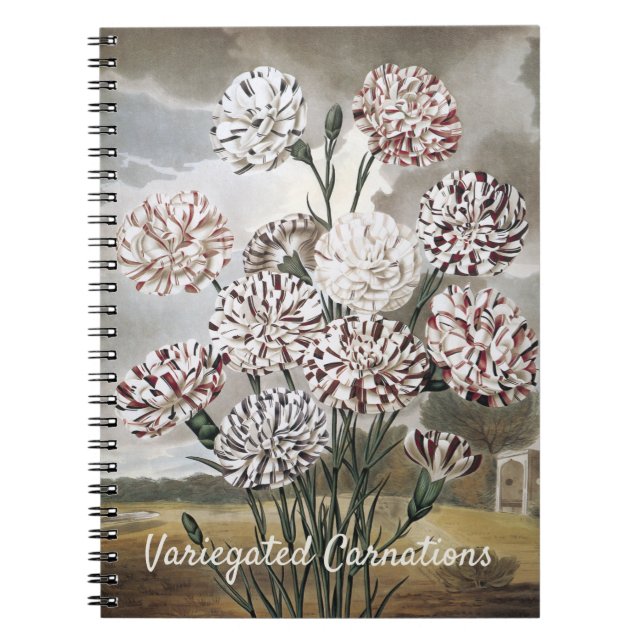 Vintage Variegated Carnation Flowers with Grey Sky Notebook (Front)