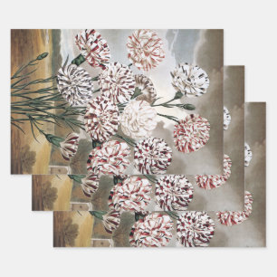 Vintage Variegated Carnation Flowers with Grey Sky Wrapping Paper Sheet