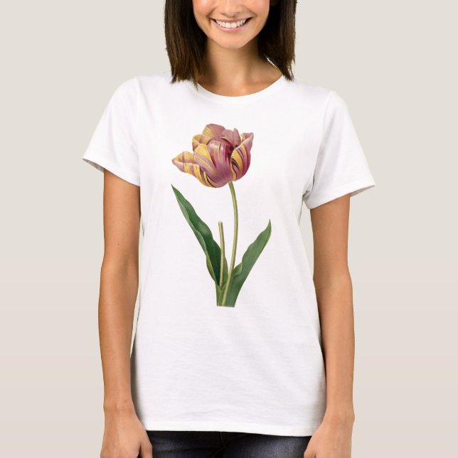 Vintage Variegated Tulip Pastels T-Shirt (Front)