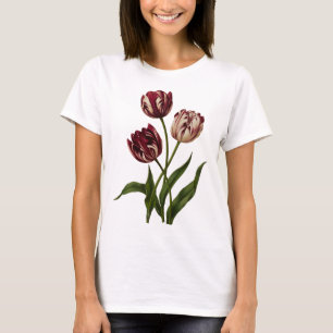 Vintage Variegated Tulips T-Shirt