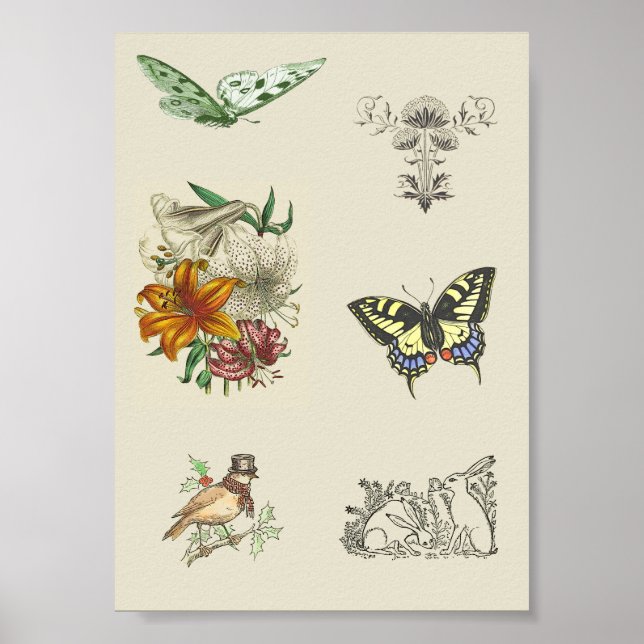 Vintage Variety Printable Scrapbooking Images  Poster (Front)