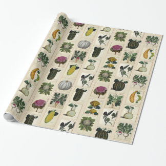 Vintage Vegetable Botanical Prints Wrapping Paper