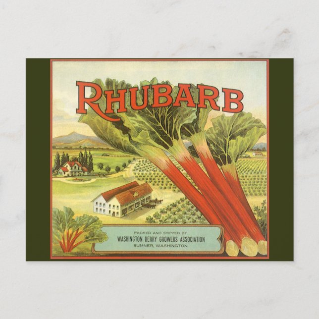 Vintage Vegetable Can Label Art, Rhubarb Farm Postcard (Front)