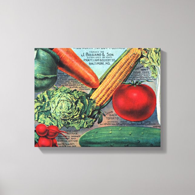 Vintage Vegetables Canvas Print (Front)