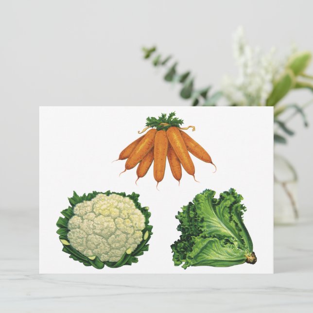 Vintage Vegetables; Carrots, Cauliflower, Lettuce (Standing Front)