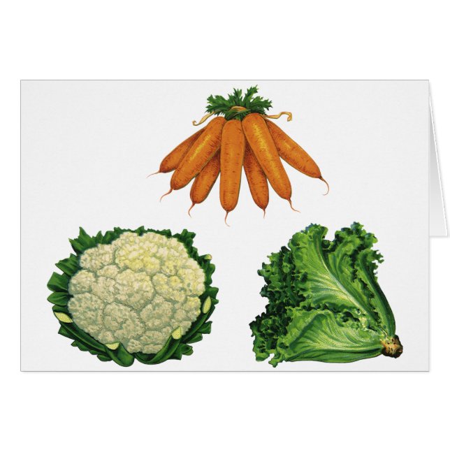 Vintage Vegetables; Carrots, Cauliflower, Lettuce (Front Horizontal)