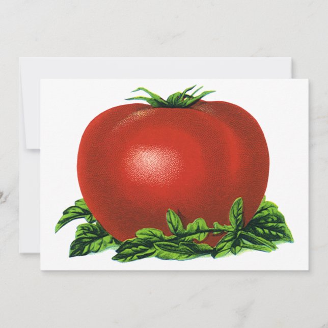 Vintage Vegetables, Red Ripe Tomato Invitation (Front)