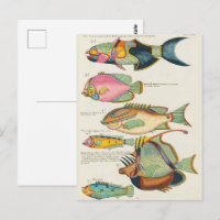Vintage Vibrant East Indies Marine Life Wall Art