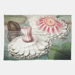 Vintage Victoria Regia Water Lily Art Print Kitchen Towel