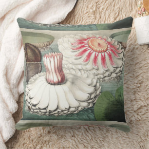 Vintage Victoria Regia Water Lily Art Print Throw Pillow