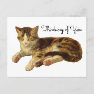 Vintage Victorian Cat Nap Art Thinking of You Postcard