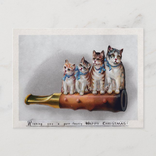 Vintage Victorian Cats Christmas Postcard (Front)