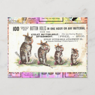 Vintage Victorian Cats With Toothache Postcard