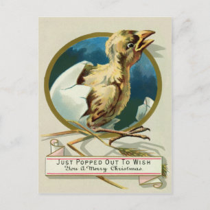 Vintage Victorian Chick Christmas Postcard