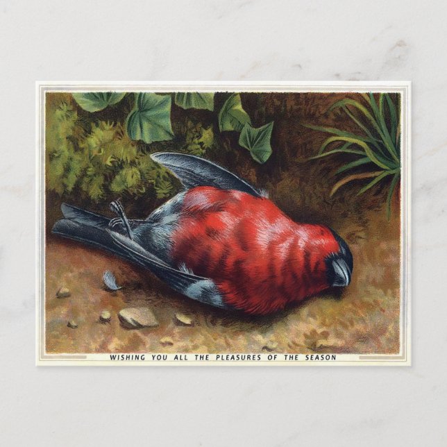 Vintage Victorian Dead Bird Christmas Postcard (Front)