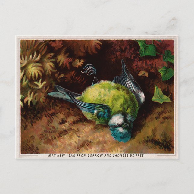 Vintage Victorian Dead Bird Christmas Postcard (Front)