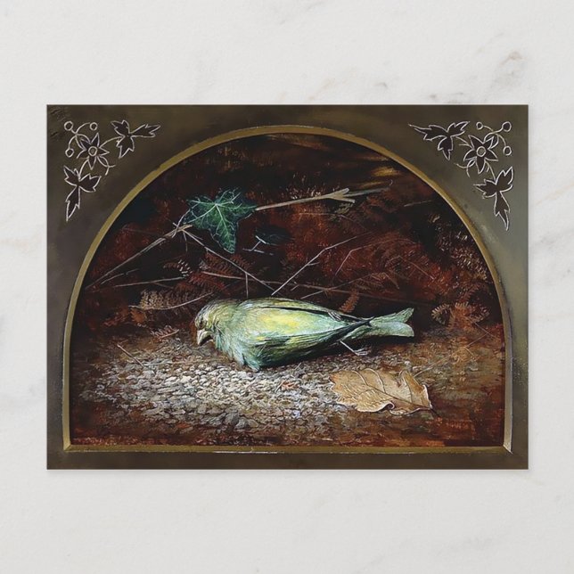 Vintage Victorian Dead Bird Postcard (Front)