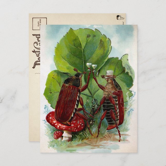 Vintage Victorian Drinking Bugs Postcard (Front/Back)
