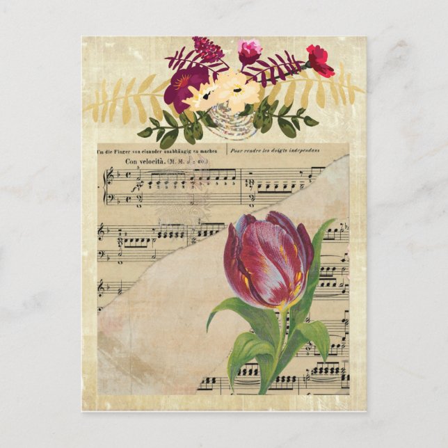 Vintage Victorian Music Romance Tulips Postcard (Front)