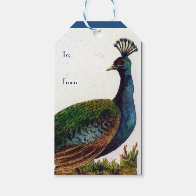 Vintage Victorian Peacock Gift Tags (Front)