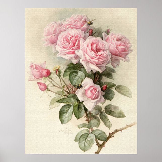 Vintage Victorian Romantic Roses Poster (Front)