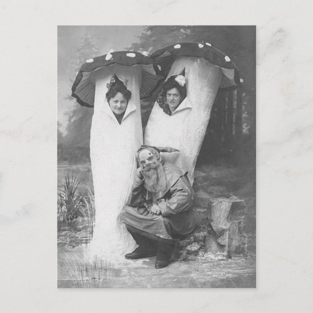 Vintage Victorian Troll and Mushrooms Costume Postcard (Front)