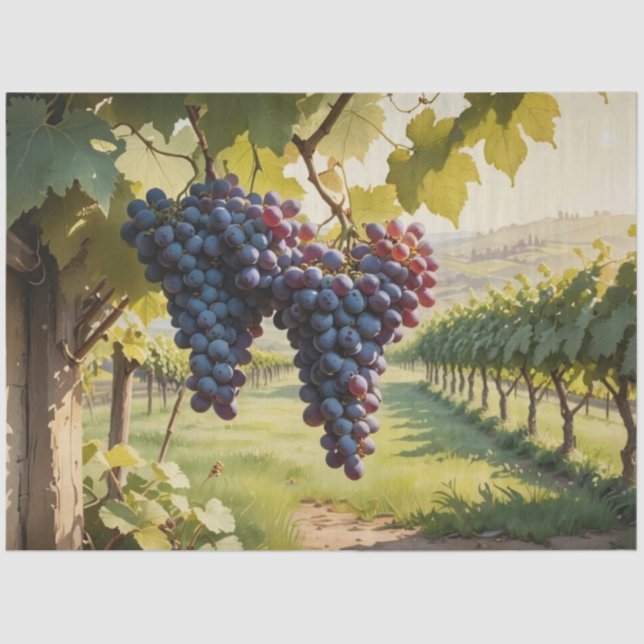 Vintage Vineyard Scene Tissue Paper (Front)