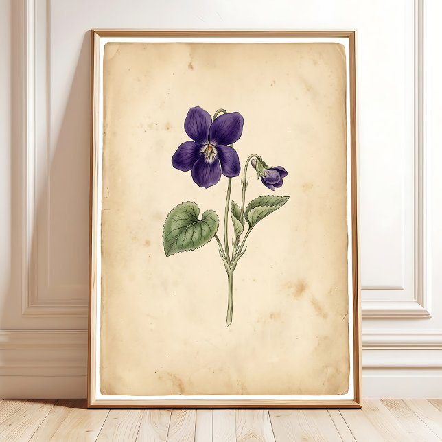 Vintage Violet Wall Art Framed Print (Creator Uploaded)