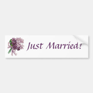 Vintage Violets Just Married Bumper Sticker