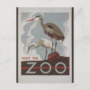 Vintage Visit the Zoo Postcard