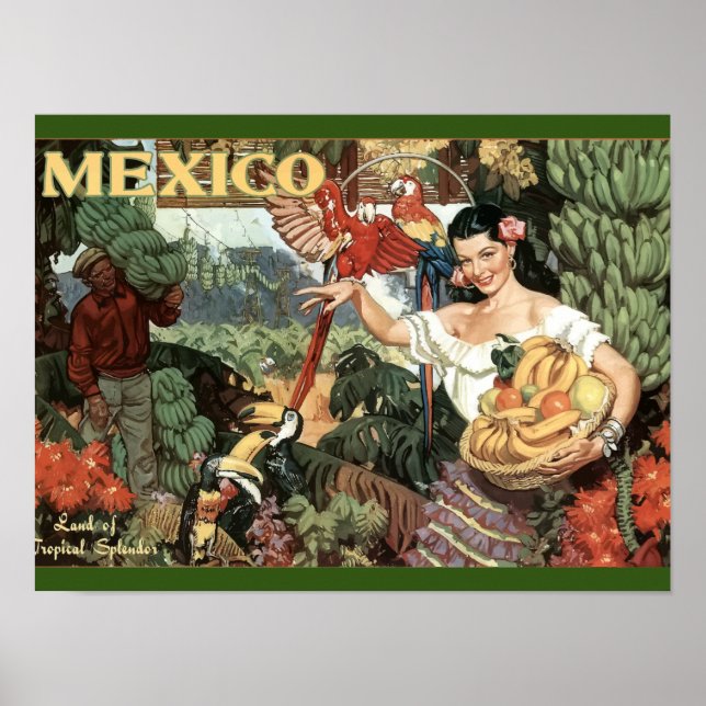 Vintage - Voyage - Poster - Mexique - Tropical (Devant)