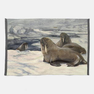 Vintage Walruses in the Arctic Snow by CE Swan Kitchen Towel