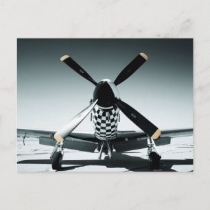 Vintage War Bird Postcard