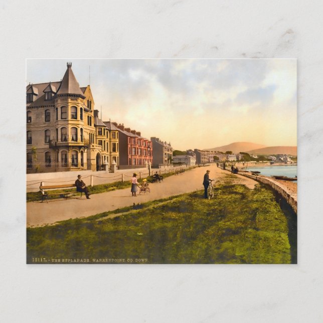 Vintage Warrenpoint County Down Ireland Postcard (Front)