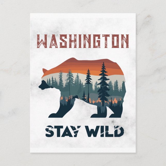 Vintage Washington Bear Stay Wild Travel Postcard (Front)