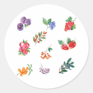 Vintage Watercolor Berries and Wild Berries Classic Round Sticker