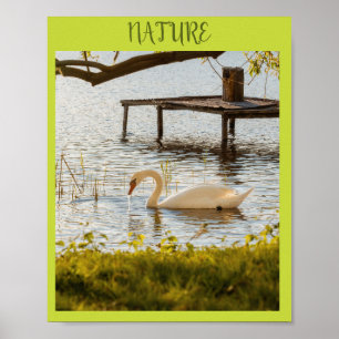Vintage Watercolor Duck in Nature Canvas Art Poster