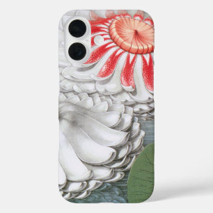 Vintage Waterlilies Flowers in a Garden Pond iPhone 16 Case
