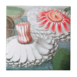 Vintage Waterlily Flowers, Waterlilies in a Pond Tile<br><div class="desc">Vintage illustration botanical nature design featuring pink and white waterlily flowers floating in a pond.</div>