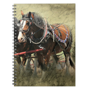 Vintage Weathered Clydesdale Postcard Notebook