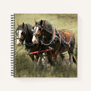 Vintage Weathered Clydesdale Postcard Notebook