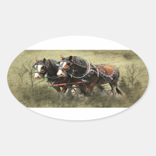 Vintage Weathered Clydesdale Postcard Oval Sticker