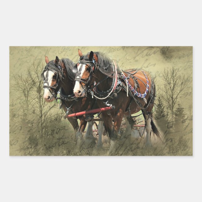 Vintage Weathered Clydesdale Postcard Sticker (Front)