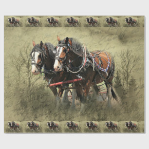 Vintage Weathered Clydesdale Postcard Wrapping Paper