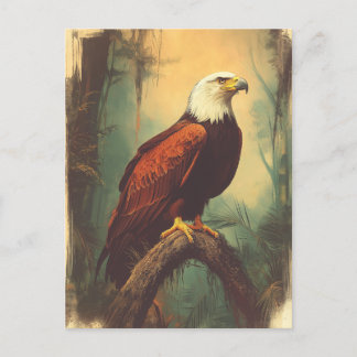 Vintage Weisshead Eagle Postcard