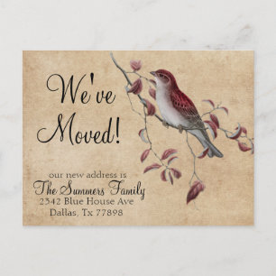 Vintage We've Moved Address Announcement  Bird Postcard