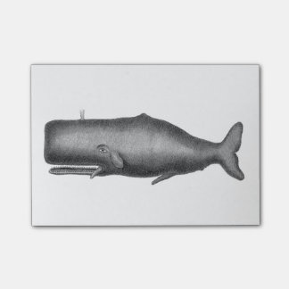 Vintage Whale Post-it Notes