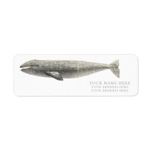 VINTAGE WHALE RETURN ADDRESS LABEL
