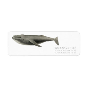 VINTAGE WHALE RETURN ADDRESS LABEL